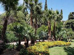 183 D35 PARC OLBIUS RIQUIER A HYERES_000042